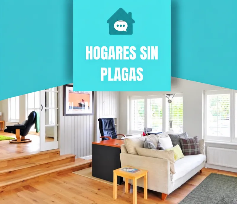 Hogares sin plagas: ambiente de una vivienda limpia y luminosa